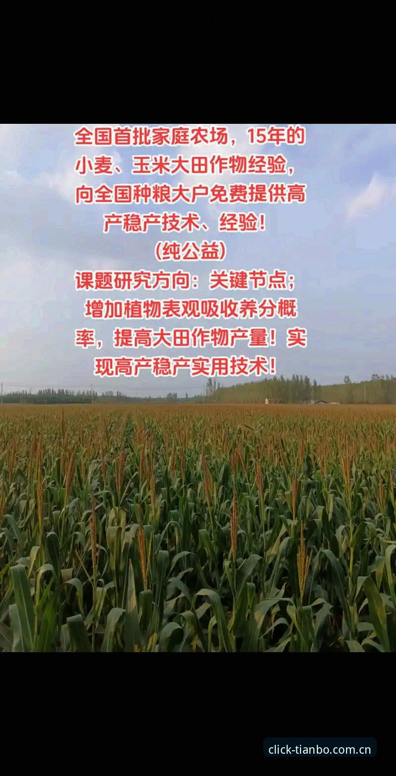 自建年度标示年度客户端常见问题 搞定天博自建年度标示年度客户端常见问题,老用户给你几招实用经验